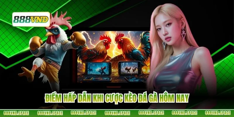 Điểm hấp dẫn khi cược kèo đá gà hôm nay